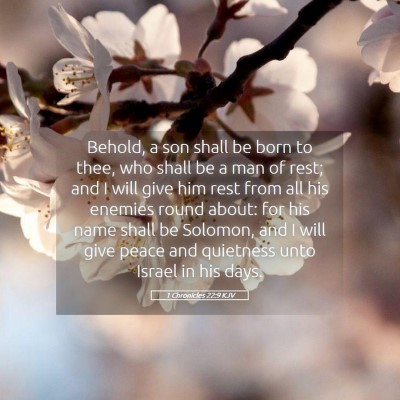 Picture 05 - 1 Chronicles 22:9 KJV - Behold, a son shall be born to thee, who shall be - Bible Verse Picture