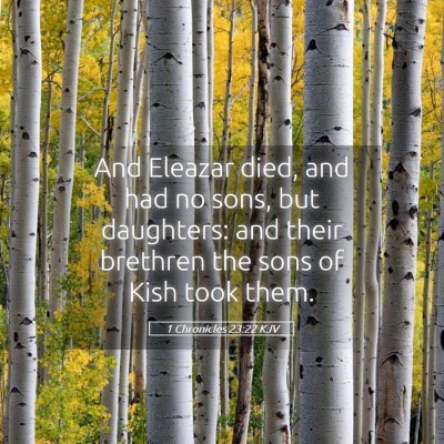 Picture 05 - 1 Chronicles 23:22 KJV - And Eleazar died, and had no sons, but daughters: - Bible Verse Picture