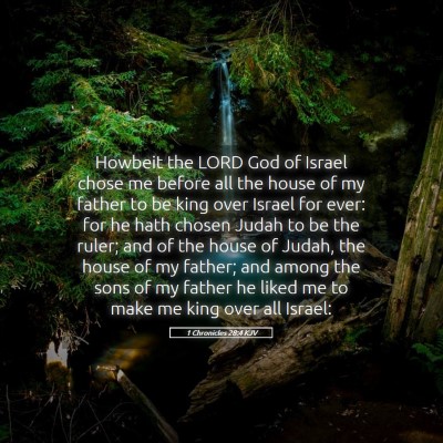 Picture 05 - 1 Chronicles 28:4 KJV - Howbeit the LORD God of Israel chose me before - Bible Verse Picture