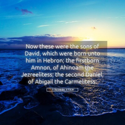Picture 05 - 1 Chronicles 3:1 KJV - Now these were the sons of David, which were born - Bible Verse Picture