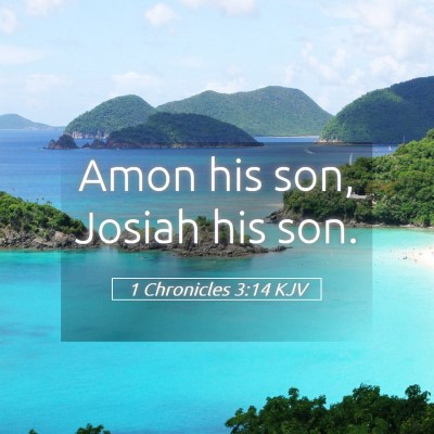 Picture 05 - 1 Chronicles 3:14 KJV - Amon his son, Josiah his - Bible Verse Picture
