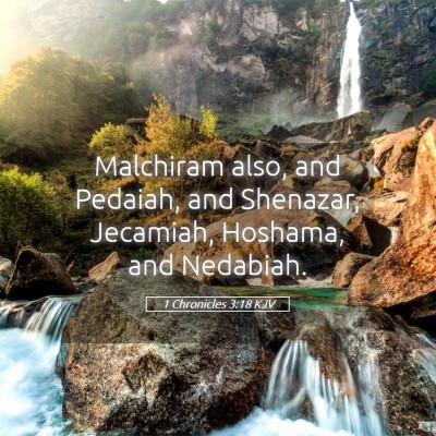 Picture 05 - 1 Chronicles 3:18 KJV - Malchiram also, and Pedaiah, and Shenazar, - Bible Verse Picture