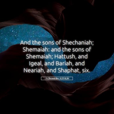 Picture 05 - 1 Chronicles 3:22 KJV - And the sons of Shechaniah; Shemaiah: and the - Bible Verse Picture