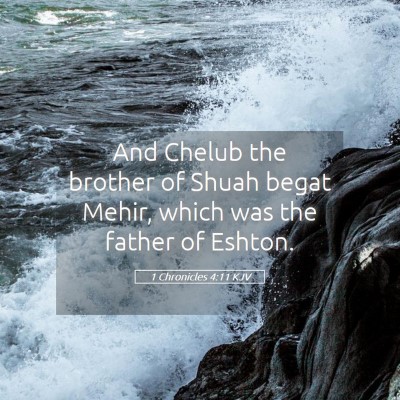 Picture 05 - 1 Chronicles 4:11 KJV - And Chelub the brother of Shuah begat Mehir, - Bible Verse Picture
