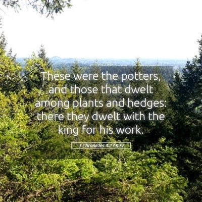Picture 05 - 1 Chronicles 4:23 KJV - These were the potters, and those that dwelt - Bible Verse Picture