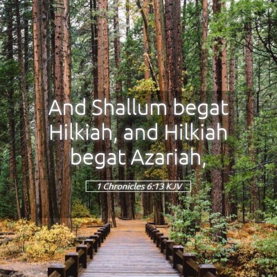Picture 05 - 1 Chronicles 6:13 KJV - And Shallum begat Hilkiah, and Hilkiah begat - Bible Verse Picture