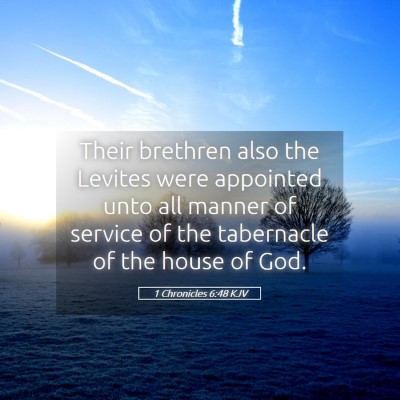 Picture 05 - 1 Chronicles 6:48 KJV - Their brethren also the Levites were appointed - Bible Verse Picture