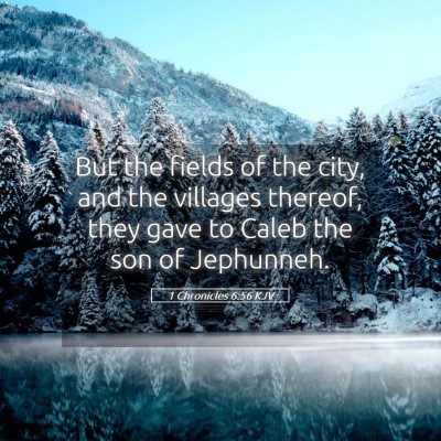 Picture 05 - 1 Chronicles 6:56 KJV - But the fields of the city, and the villages - Bible Verse Picture