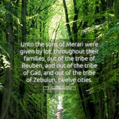 Picture 05 - 1 Chronicles 6:63 KJV - Unto the sons of Merari were given by lot, - Bible Verse Picture