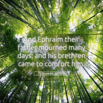 Picture 05 - 1 Chronicles 7:22 KJV - And Ephraim their father mourned many days, and - Bible Verse Picture