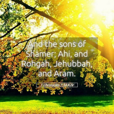 Picture 05 - 1 Chronicles 7:34 KJV - And the sons of Shamer; Ahi, and Rohgah, - Bible Verse Picture
