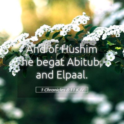 Picture 05 - 1 Chronicles 8:11 KJV - And of Hushim he begat Abitub, and - Bible Verse Picture