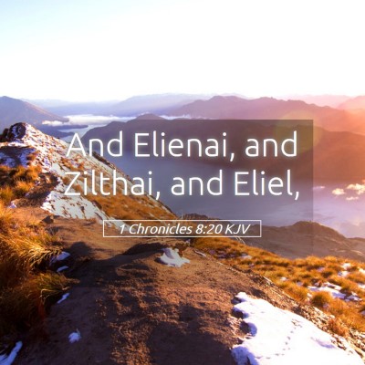 Picture 05 - 1 Chronicles 8:20 KJV - And Elienai, and Zilthai, and - Bible Verse Picture
