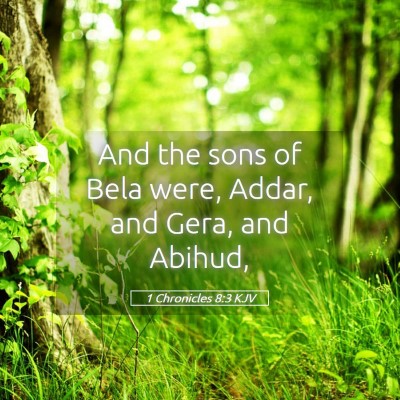 Picture 05 - 1 Chronicles 8:3 KJV - And the sons of Bela were, Addar, and Gera, and - Bible Verse Picture