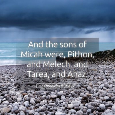 Picture 05 - 1 Chronicles 8:35 KJV - And the sons of Micah were, Pithon, and Melech, - Bible Verse Picture