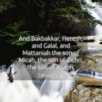 Picture 05 - 1 Chronicles 9:15 KJV - And Bakbakkar, Heresh, and Galal, and Mattaniah - Bible Verse Picture