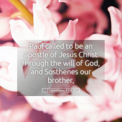 Picture 05 - 1 Corinthians 1:1 KJV - Paul called to be an apostle of Jesus Christ - Bible Verse Picture