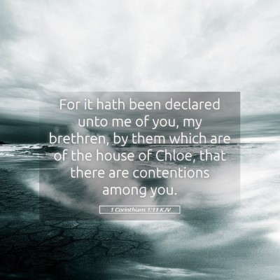 Picture 05 - 1 Corinthians 1:11 KJV - For it hath been declared unto me of you, my - Bible Verse Picture