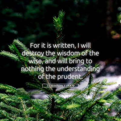 Picture 05 - 1 Corinthians 1:19 KJV - For it is written, I will destroy the wisdom of - Bible Verse Picture