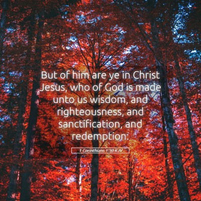Picture 05 - 1 Corinthians 1:30 KJV - But of him are ye in Christ Jesus, who of God is - Bible Verse Picture