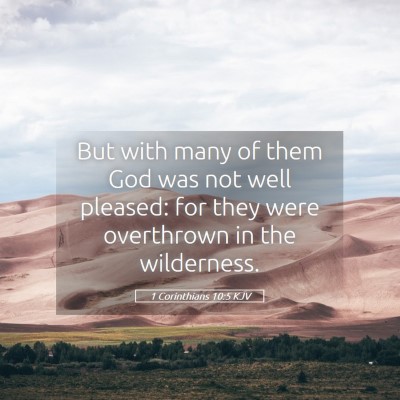 Picture 05 - 1 Corinthians 10:5 KJV - But with many of them God was not well pleased: - Bible Verse Picture