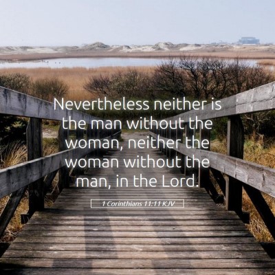 Picture 05 - 1 Corinthians 11:11 KJV - Nevertheless neither is the man without the - Bible Verse Picture