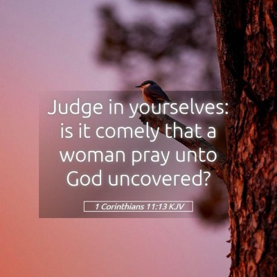 Picture 05 - 1 Corinthians 11:13 KJV - Judge in yourselves: is it comely that a woman - Bible Verse Picture