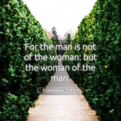 Picture 05 - 1 Corinthians 11:8 KJV - For the man is not of the woman: but the woman of - Bible Verse Picture