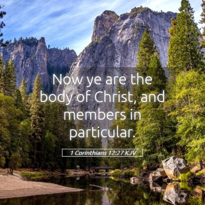 Picture 05 - 1 Corinthians 12:27 KJV - Now ye are the body of Christ, and members in - Bible Verse Picture