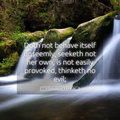 Picture 05 - 1 Corinthians 13:5 KJV - Doth not behave itself unseemly, seeketh not her - Bible Verse Picture