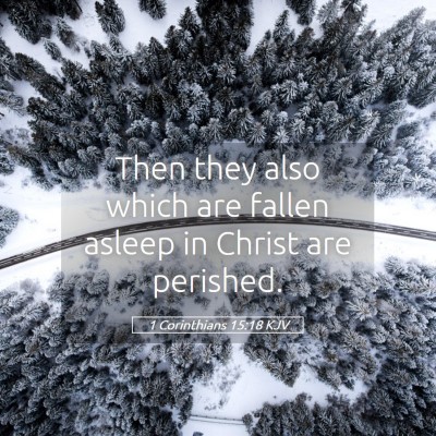 Picture 05 - 1 Corinthians 15:18 KJV - Then they also which are fallen asleep in Christ - Bible Verse Picture