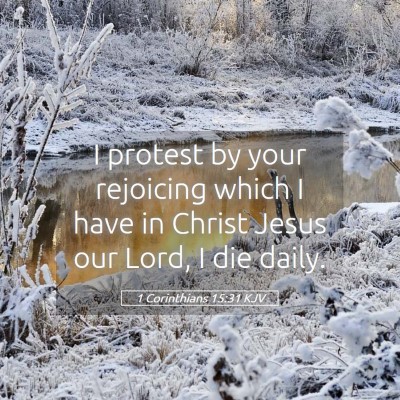 Picture 05 - 1 Corinthians 15:31 KJV - I protest by your rejoicing which I have in - Bible Verse Picture