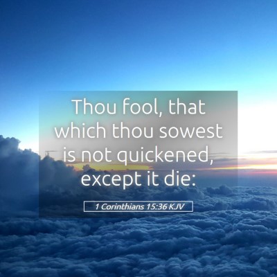 Picture 05 - 1 Corinthians 15:36 KJV - Thou fool, that which thou sowest is not - Bible Verse Picture