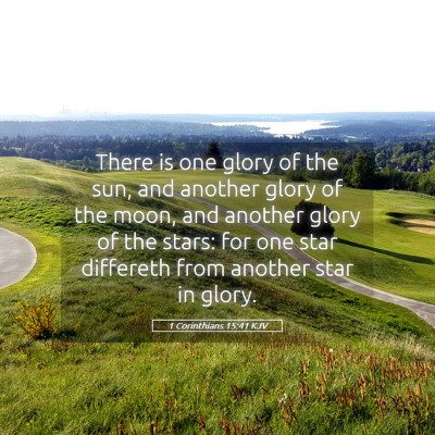 Picture 05 - 1 Corinthians 15:41 KJV - There is one glory of the sun, and another glory - Bible Verse Picture