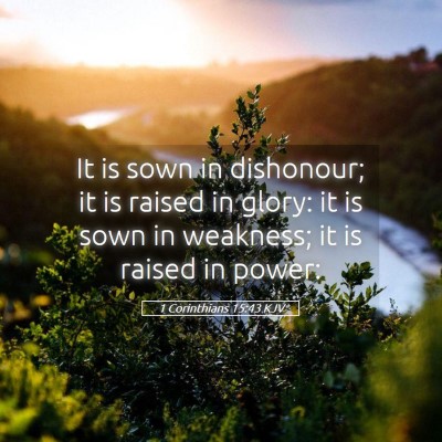 Picture 05 - 1 Corinthians 15:43 KJV - It is sown in dishonour; it is raised in glory: - Bible Verse Picture