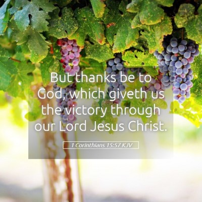 Picture 05 - 1 Corinthians 15:57 KJV - But thanks be to God, which giveth us the victory - Bible Verse Picture