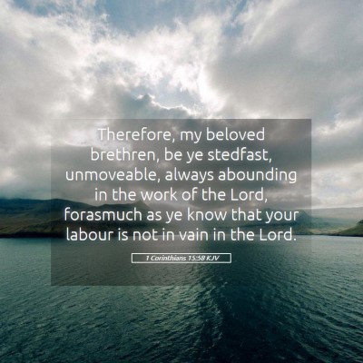 Picture 05 - 1 Corinthians 15:58 KJV - Therefore, my beloved brethren, be ye stedfast, - Bible Verse Picture