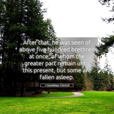 Picture 05 - 1 Corinthians 15:6 KJV - After that, he was seen of above five hundred - Bible Verse Picture