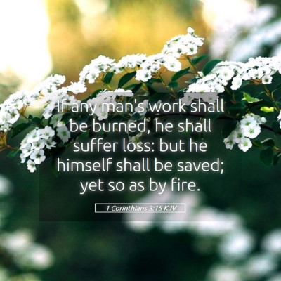 Picture 05 - 1 Corinthians 3:15 KJV - If any man's work shall be burned, he shall - Bible Verse Picture