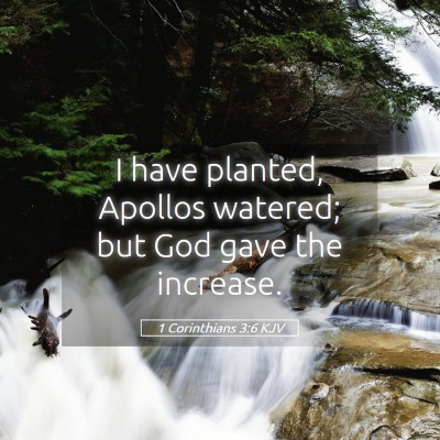 Picture 05 - 1 Corinthians 3:6 KJV - I have planted, Apollos watered; but God gave the - Bible Verse Picture