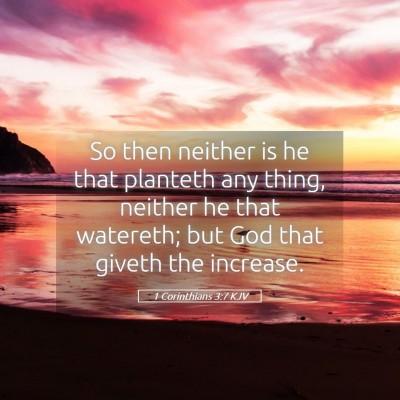 Picture 05 - 1 Corinthians 3:7 KJV - So then neither is he that planteth any thing, - Bible Verse Picture