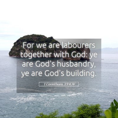 Picture 05 - 1 Corinthians 3:9 KJV - For we are labourers together with God: ye are - Bible Verse Picture