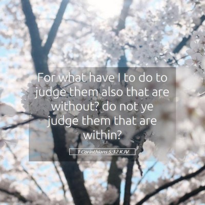 Picture 05 - 1 Corinthians 5:12 KJV - For what have I to do to judge them also that are - Bible Verse Picture