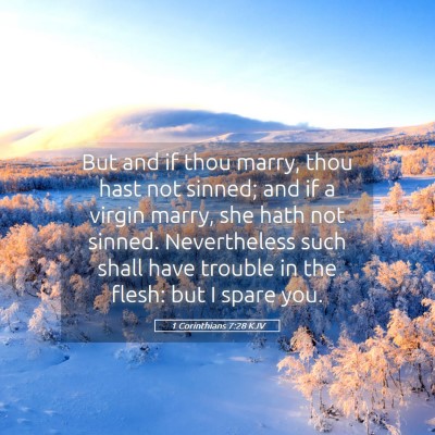 Picture 05 - 1 Corinthians 7:28 KJV - But and if thou marry, thou hast not sinned; and - Bible Verse Picture