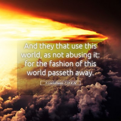 Picture 05 - 1 Corinthians 7:31 KJV - And they that use this world, as not abusing it: - Bible Verse Picture