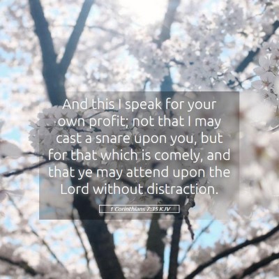 Picture 05 - 1 Corinthians 7:35 KJV - And this I speak for your own profit; not that I - Bible Verse Picture