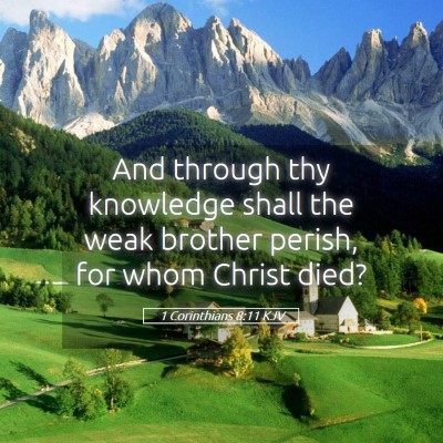 Picture 05 - 1 Corinthians 8:11 KJV - And through thy knowledge shall the weak brother - Bible Verse Picture