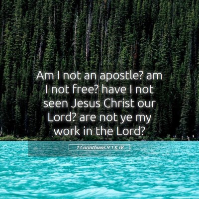 Picture 05 - 1 Corinthians 9:1 KJV - Am I not an apostle? am I not free? have I not - Bible Verse Picture