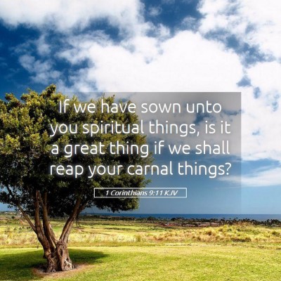 Picture 05 - 1 Corinthians 9:11 KJV - If we have sown unto you spiritual things, is it - Bible Verse Picture