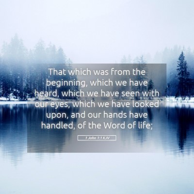 Picture 05 - 1 John 1:1 KJV - That which was from the beginning, which we have - Bible Verse Picture